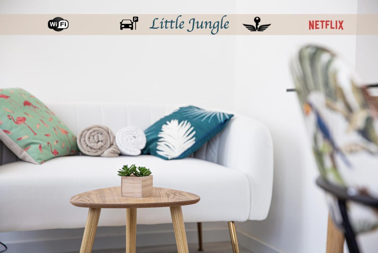 Little Jungle - T2 Avec Parking Apartment Vierzon Ngoại thất bức ảnh
